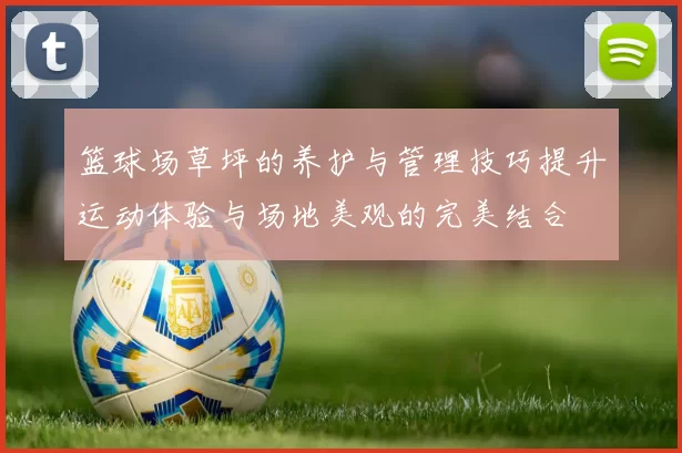篮球场草坪的养护与管理技巧提升运动体验与场地美观的完美结合