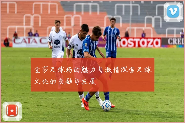 金莎足球场的魅力与激情探索足球文化的交融与发展